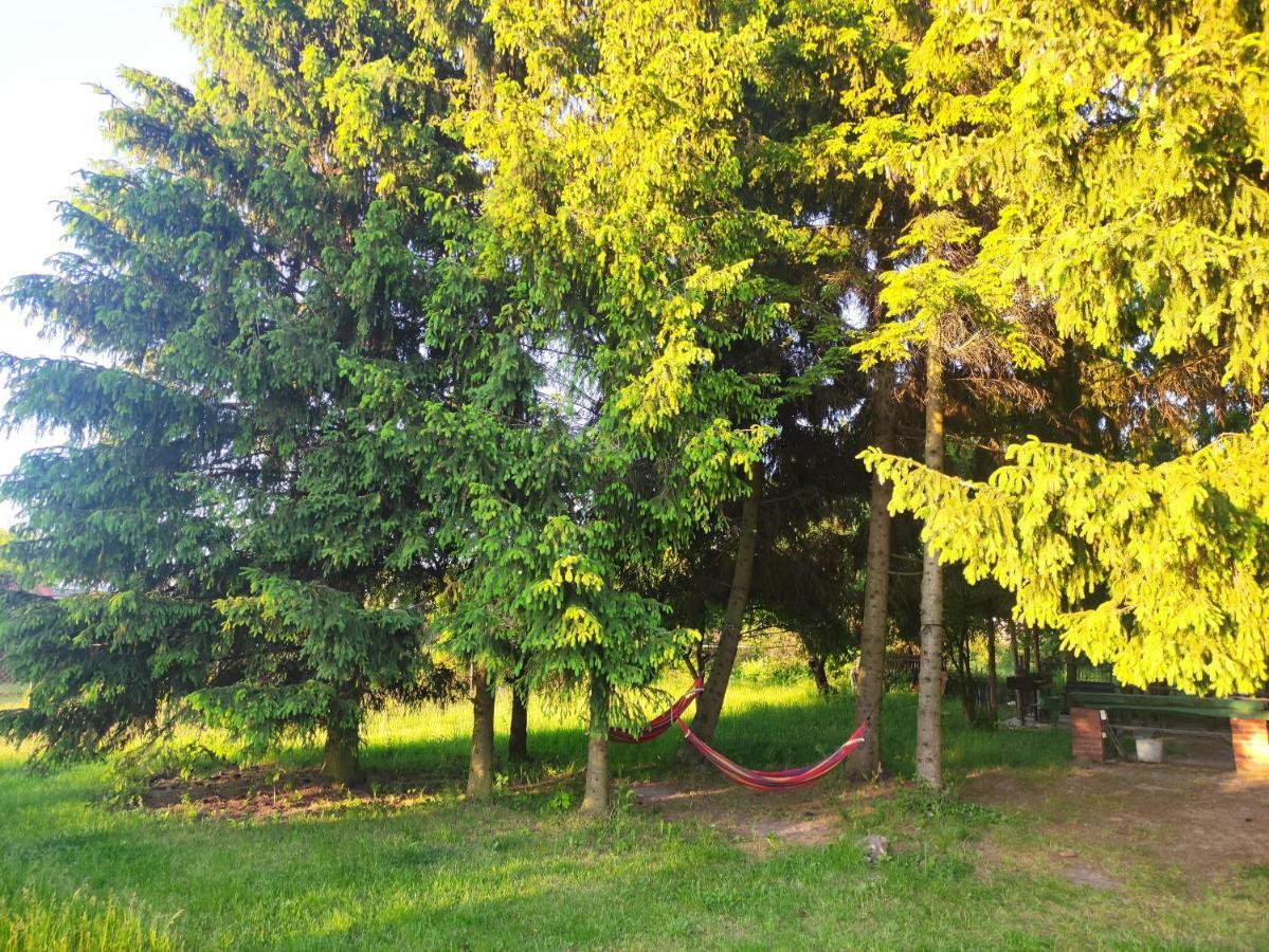 Leilighet Gosciniec Celina